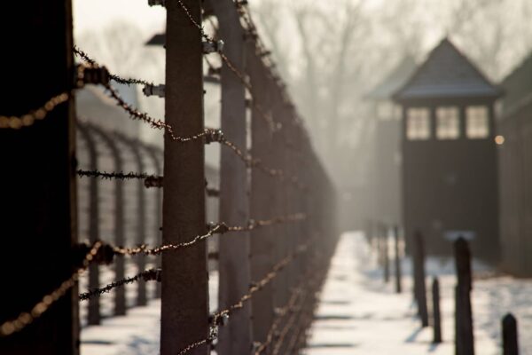 clôture en fil de fer barbelé d'auschwitz