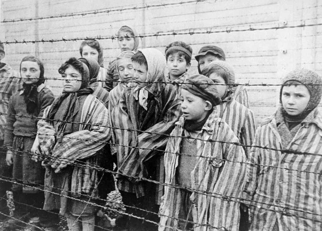 les enfants qui ont survécu à auschwitz