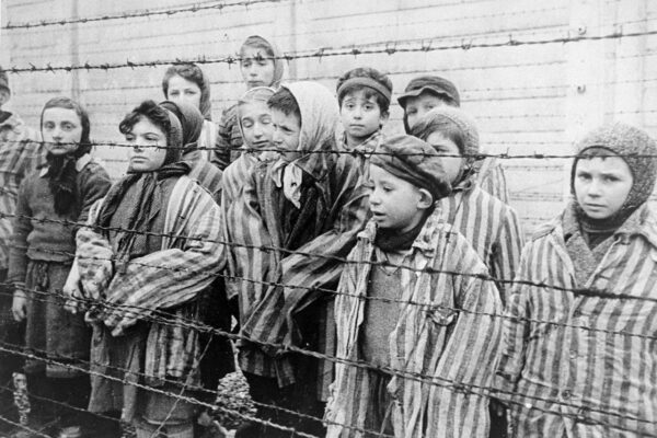 les enfants qui ont survécu à auschwitz