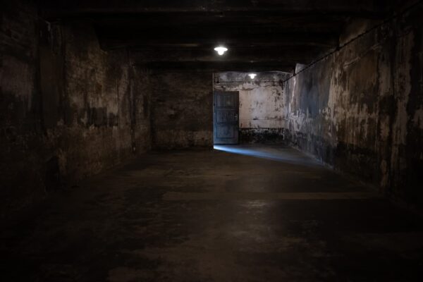 chambres à gaz d'auschwitz