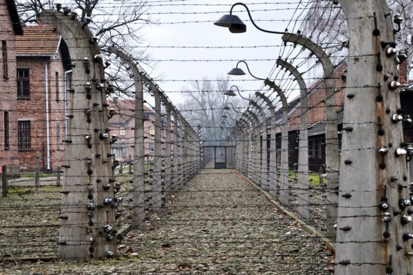 de Varsovie à Auschwitz