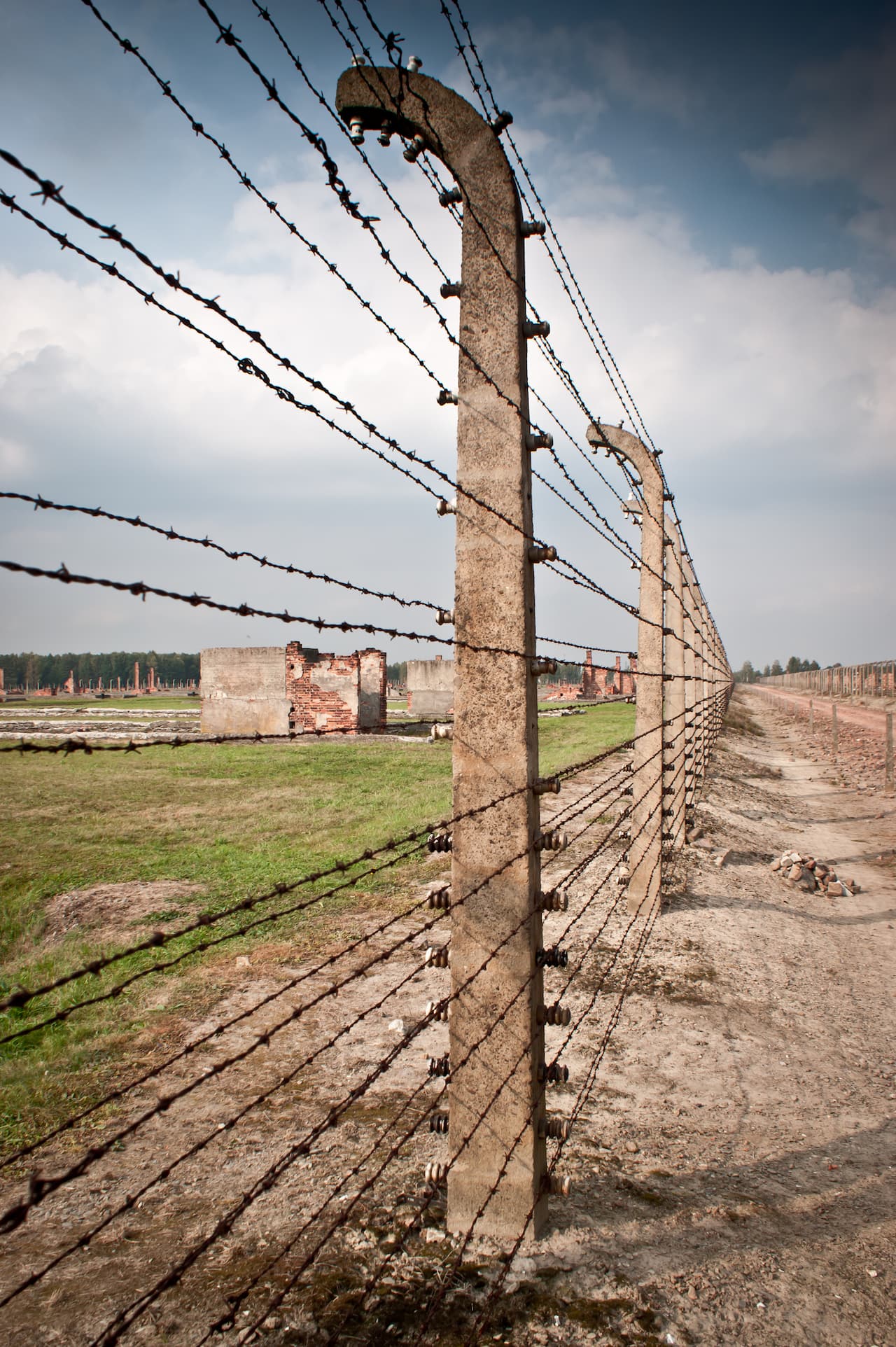 films et livres sur auschwitz birkenau