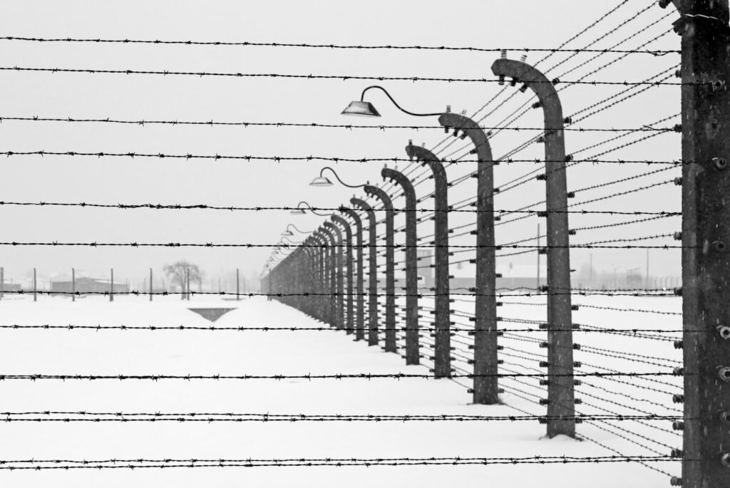 filo spinato di auschwitz