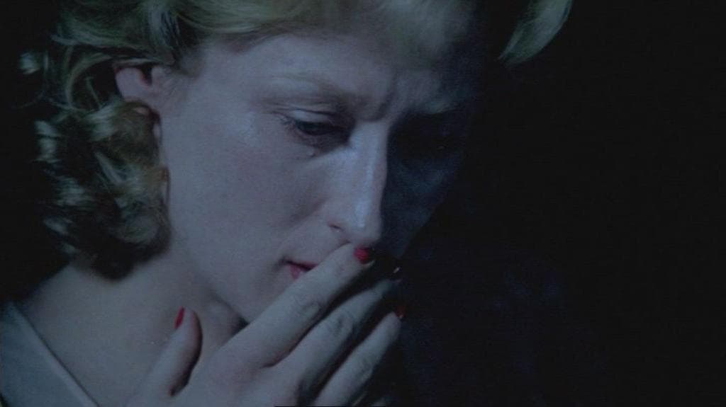 la scelta di sophie film su shoah