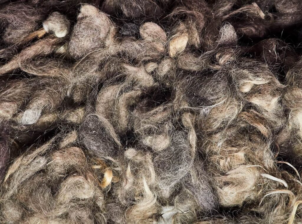 salle de coiffure d'auschwitz