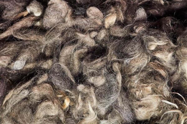 salle de coiffure d'auschwitz